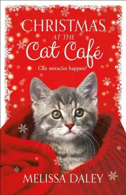 Weihnachten im Cat Caf - Christmas at the Cat Caf