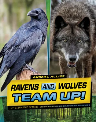 Raben und Wölfe bilden ein Team! - Ravens and Wolves Team Up!