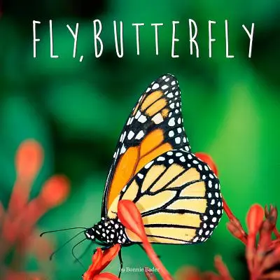 Fliege, Schmetterling - Fly, Butterfly