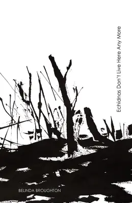 Echidnas Don't Live Here Any More: Gedichte über Verlust und Erholung nach den Buschbränden des Schwarzen Sommers - Echidnas Don't Live Here Any More: Poems of loss and recovery since the Black Summer bushfires