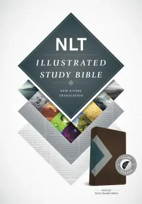 Illustrierte Studienbibel-NLT - Illustrated Study Bible-NLT