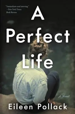 Ein perfektes Leben - A Perfect Life