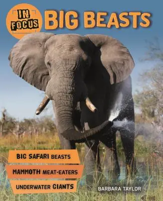 Im Fokus: Big Beasts - In Focus: Big Beasts