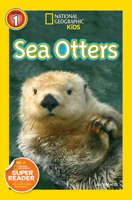 Seeotter - Sea Otters