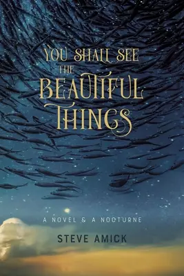 Du sollst die schönen Dinge sehen: Ein Roman & ein Nachtstück - You Shall See the Beautiful Things: A Novel & a Nocturne