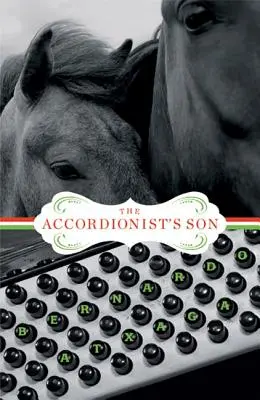 Der Sohn des Akkordeonspielers - The Accordionist's Son