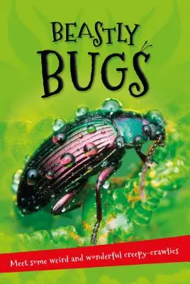 Es dreht sich alles um ... Biestige Käfer: Alles, was Sie über Minibeasts wissen wollen, in einem erstaunlichen Buch - It's All about . . . Beastly Bugs: Everything You Want to Know about Minibeasts in One Amazing Book
