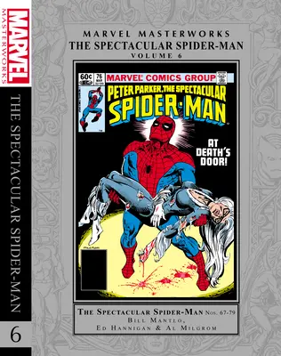 Marvel Masterworks: Der spektakuläre Spider-Man Bd. 6 - Marvel Masterworks: The Spectacular Spider-Man Vol. 6