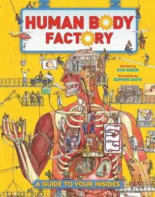 Die Fabrik des menschlichen Körpers: Ein Leitfaden für Ihr Inneres - The Human Body Factory: A Guide to Your Insides