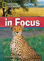 Geparden im Fokus - Footprint Reading Library 2200 - Cheetahs in Focus - Footprint Reading Library 2200