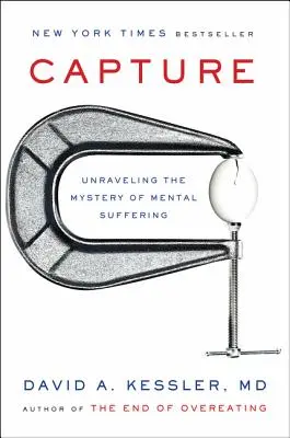 Erfassen: Das Geheimnis des seelischen Leidens entschlüsseln - Capture: Unraveling the Mystery of Mental Suffering