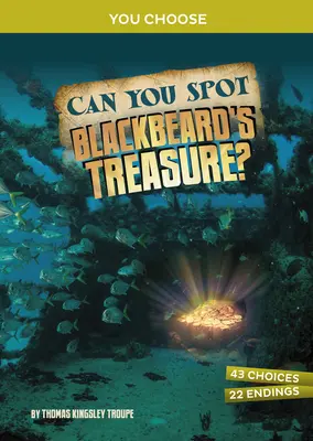 Kannst du Blackbeards Schatz entdecken? Ein interaktives Schatzabenteuer - Can You Spot Blackbeard's Treasure?: An Interactive Treasure Adventure