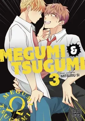 Megumi & Tsugumi, Band 3 - Megumi & Tsugumi, Vol. 3