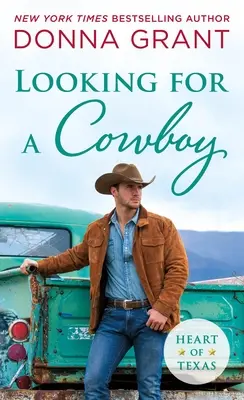 Auf der Suche nach einem Cowboy - Looking for a Cowboy