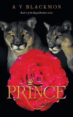 Prince: 1. Buch einer 4-bändigen Serie - Prince: 1St Book of a 4 Book Series