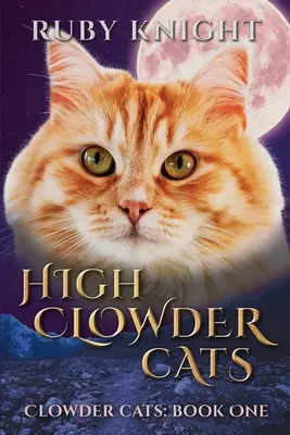 Hohe Clowder-Katzen - High Clowder Cats