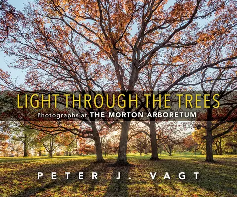 Licht durch die Bäume: Fotografien im Morton Arboretum - Light Through the Trees: Photographs at the Morton Arboretum