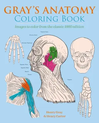 Gray's Anatomy Ausmalbuch: Bilder zum Ausmalen aus der klassischen Ausgabe von 1860 - Gray's Anatomy Coloring Book: Images to Color from the Classic 1860 Edition