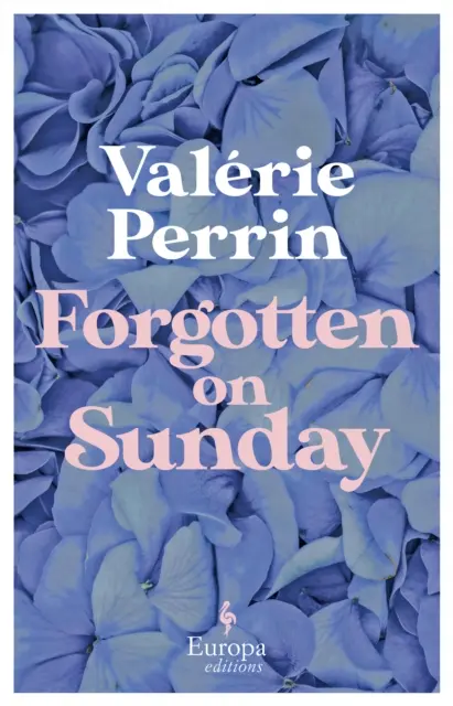 Vergessen am Sonntag - Von der Millionen-Bestseller-Autorin von Fresh Water for Flowers - Forgotten on Sunday - From the million copy bestselling author of Fresh Water for Flowers