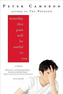 Eines Tages wird dieser Schmerz für dich nützlich sein - Someday This Pain Will Be Useful to You