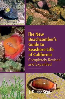 The New Beachcomber's Guide to Seashore Life of California: Vollständig überarbeitet und erweitert - The New Beachcomber's Guide to Seashore Life of California: Completely Revised and Expanded