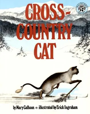 Geländewagen-Katze - Cross-Country Cat