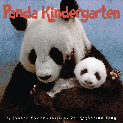 Panda-Kindergarten - Panda Kindergarten