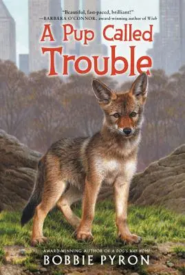 Ein Welpe namens Trouble - A Pup Called Trouble