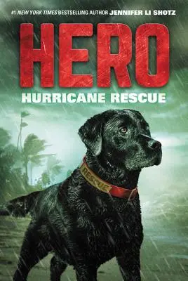 Held: Hurricane-Rettung - Hero: Hurricane Rescue