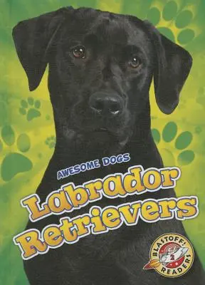 Labrador Retriever Labrador Retriever - Labrador Retrievers Labrador Retrievers