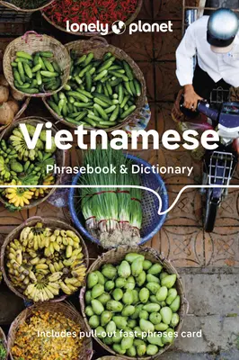 Lonely Planet Vietnamesisch Sprachführer & Wörterbuch 9 - Lonely Planet Vietnamese Phrasebook & Dictionary 9