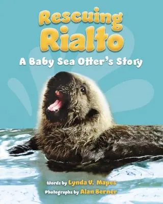 Die Rettung von Rialto: Die Geschichte eines kleinen Seeotters - Rescuing Rialto: A Baby Sea Otter's Story