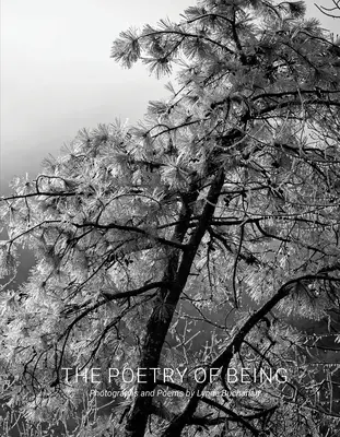 Die Poesie des Seins: Fotografien und Haikus - The Poetry of Being: Photographs and Haikus