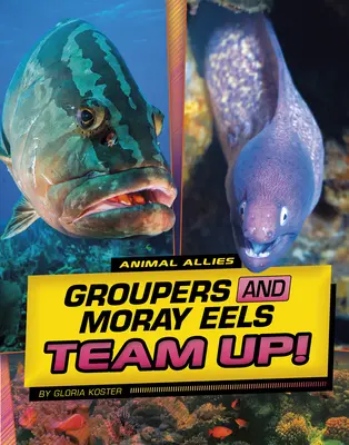 Zackenbarsche und Muränen arbeiten zusammen! - Groupers and Moray Eels Team Up!