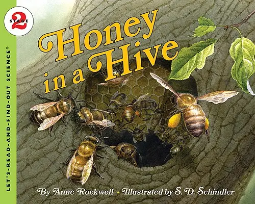 Honig im Bienenstock - Honey in a Hive