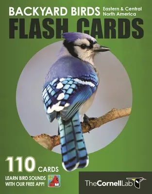 Backyard Birds Flash Cards - Östliches und zentrales Nordamerika - Backyard Birds Flash Cards - Eastern & Central North America