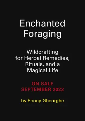 Verzauberte Futtersuche: Wildsammlung für pflanzliche Heilmittel, Rituale und ein magisches Leben - Enchanted Foraging: Wildcrafting for Herbal Remedies, Rituals, and a Magical Life
