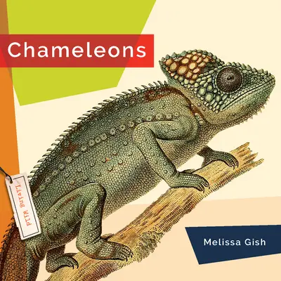 Chamäleons - Chameleons