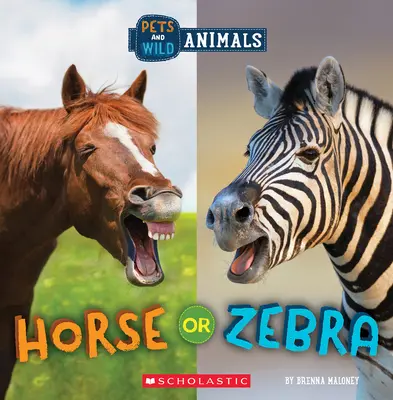 Pferd oder Zebra (Wilde Welt: Haustiere und wilde Tiere) - Horse or Zebra (Wild World: Pets and Wild Animals)