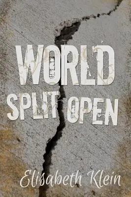 Die aufgespaltene Welt - World Split Open