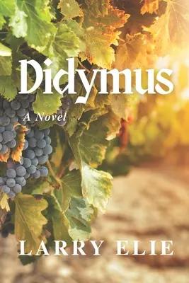 Didymus