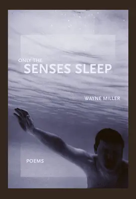 Nur die Sinne schlafen - Only the Senses Sleep