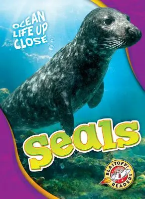 Robben - Seals