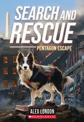 Suche und Rettung: Pentagon-Flucht - Search and Rescue: Pentagon Escape