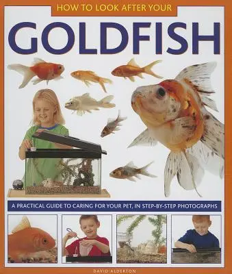 Wie Sie sich um Ihren Goldfisch kümmern: Ein praktischer Leitfaden für die Pflege Ihres Haustiers, mit Schritt-für-Schritt-Fotos - How to Look After Your Goldfish: A Practical Guide to Caring for Your Pet, in Step-By-Step Photographs