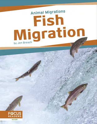 Fischwanderung - Fish Migration