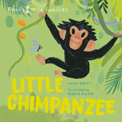 Kleiner Schimpanse: Ein Tag im Leben eines Schimpansenbabys - Little Chimpanzee: A Day in the Life of a Baby Chimp