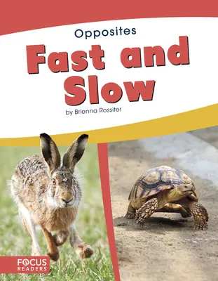 Schnell und langsam - Fast and Slow