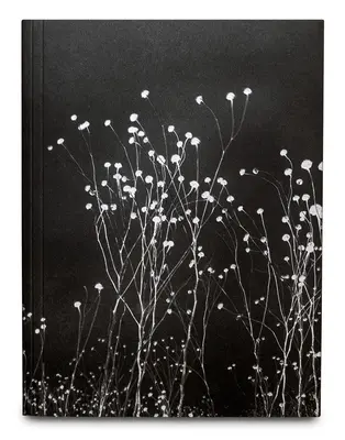 Das Unheimliche - The Uncanny