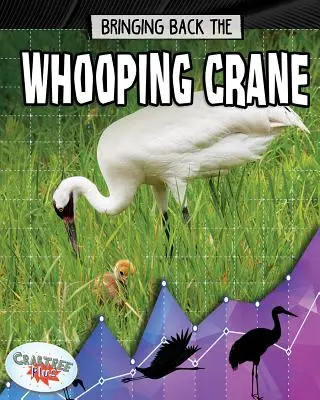 Die Rückkehr des Schreikranichs - Bringing Back the Whooping Crane